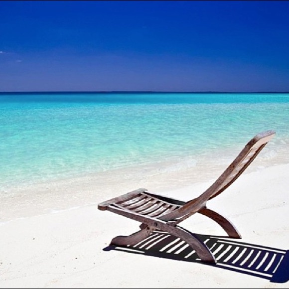 Meet your Posher, Tara - Picture 2 of 10